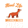 Fox Gift Red Fox
