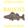 Walleye Fishing Anglers
