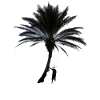 Palme