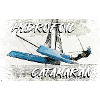 Catamaran hydrofoil