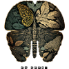 Butterfly Brain your-Tshirt