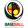 Magnifique tshirt de baseball