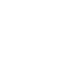 Afghan Hound Afghan Hound Daddy