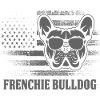 Frenchie Bulldog
