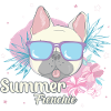 Summer Frenchie French Bulldog