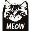 Miau-Katze