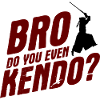 Japanischer Schwertkampf Kendo