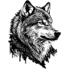 Monochrome Wolf Line Art