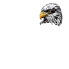 Bald Eagle Bird Graphic Design