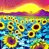 Sunflower flowers