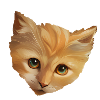 Kitten