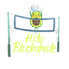 Holy Blockamole Volleyball Avocado