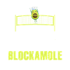 Holy Blockamole Volleyball Avocado