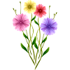 Fleur