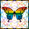 butterfly