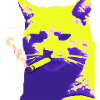 Cat smoking