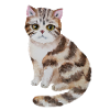 Süße Katze