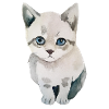 Süße Katze