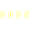 2025 Year Number