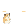 Nagetier Hamsterbesitzer Hamster