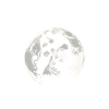 Goth gothique chauves-souris vagin dicton