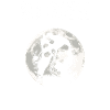 Goth Gothic Fledermäuse Vagina Spruch