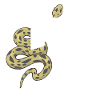Letter r snake