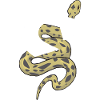 Snake letters
