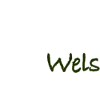 Wels