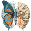 Butterfly brain your-Tshirt