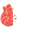 Canoe Polo