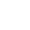 First Officer