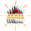 Pins Kegelchampion Bowling Kegeln Asael