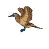 Drawing of a blue-footed booby