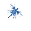 Drawing of a Glaucus Atlanticus