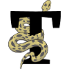 Letter t snake