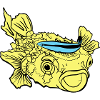 Igelfisch Kugelfisch Putzerlippfisch