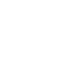 Bichon Frise Bichon Frise Daddy