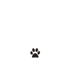 Mein treuer Begleiter Hundefreund
