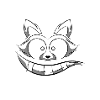 Raccoon Racoon Funny Saying Gift