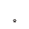 Mon fidèle compagnon
