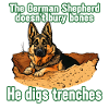 German Shepherd - he digs trenches