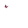 Logistik Kollegin Schmetterlinge Logistikerin