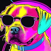 Dog with glasses
