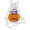 Husky Ghost Pumpkin Lantern Halloween