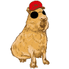 Cool Capybara - Wasserschwein - Cappy