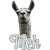 Unimpressed Llama - Meh