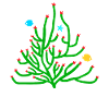 Frohe Weihnachten Koralle