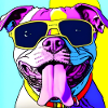 Dog with glasses