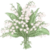 Blumenstrauß vom Maiglöckchen